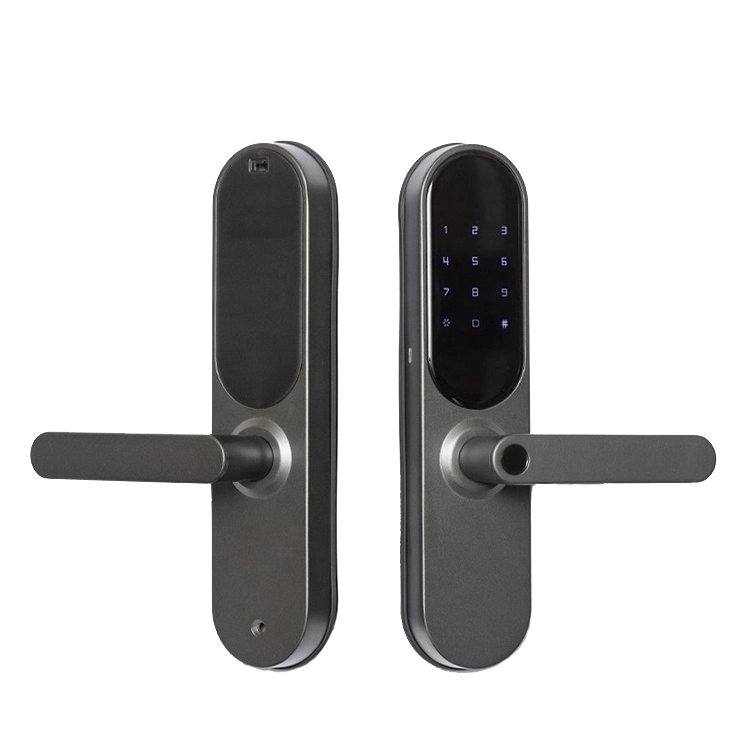 Digital Combination Magnetic Safe Card Door Hardware Smart Lock Handle