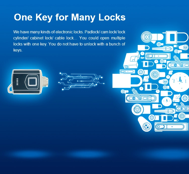 Electronic Cylinder Cam Lock Access Control System for Security